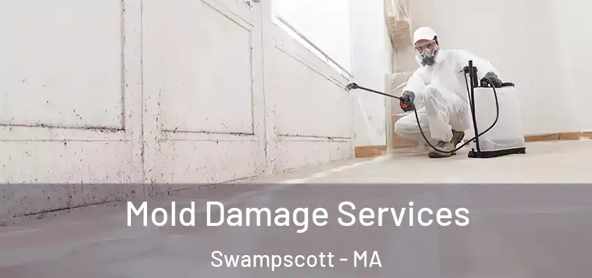 Mold Damage Services Swampscott - MA