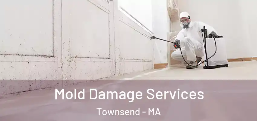  Mold Damage Services Townsend - MA