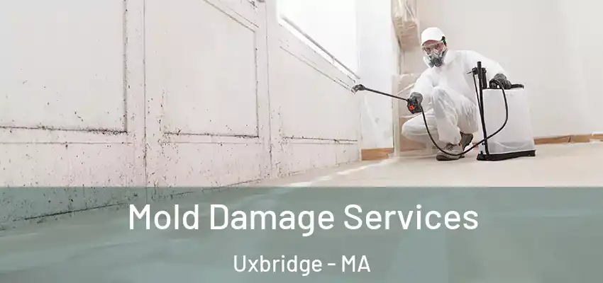  Mold Damage Services Uxbridge - MA