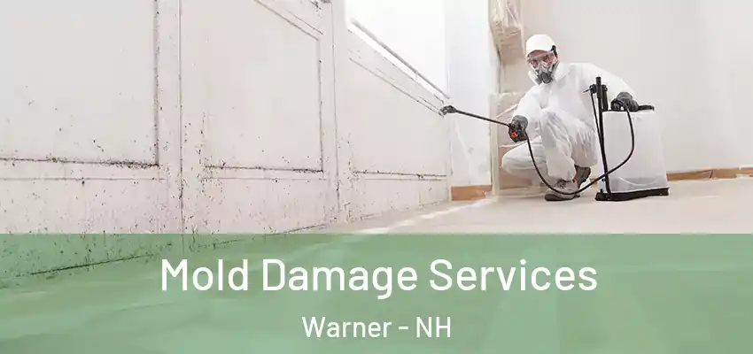  Mold Damage Services Warner - NH