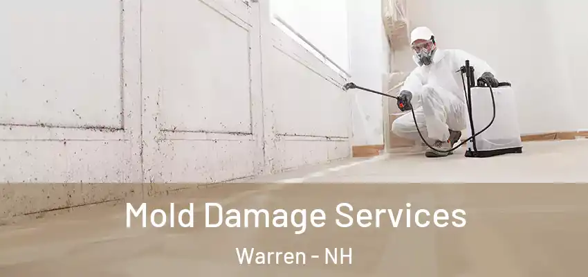 Mold Damage Services Warren - NH