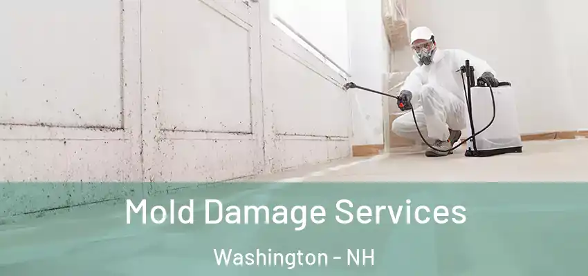 Mold Damage Services Washington - NH