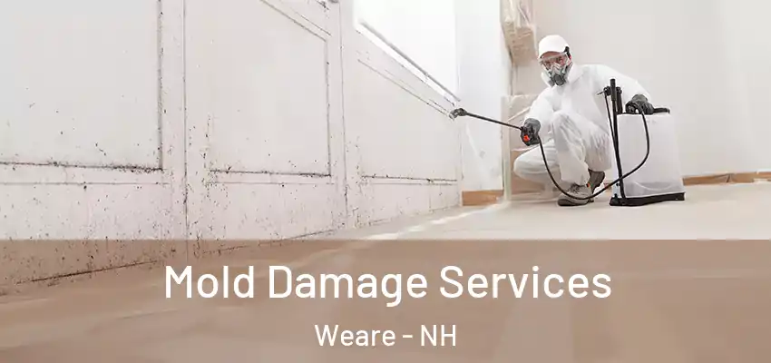 Mold Damage Services Weare - NH