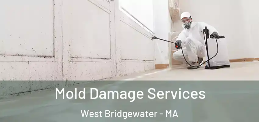 Mold Damage Services West Bridgewater - MA
