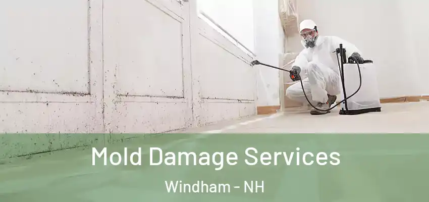  Mold Damage Services Windham - NH