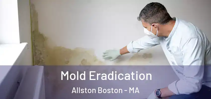  Mold Eradication Allston Boston - MA