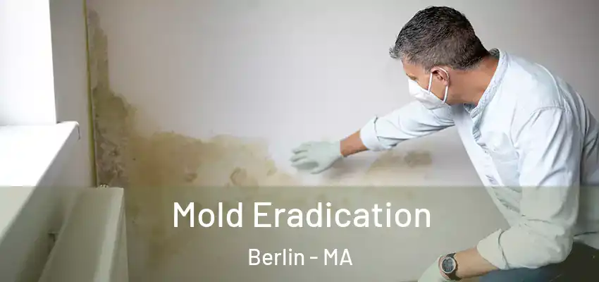 Mold Eradication Berlin - MA
