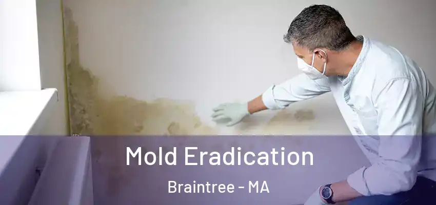 Mold Eradication Braintree - MA