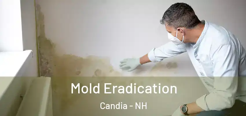 Mold Eradication Candia - NH