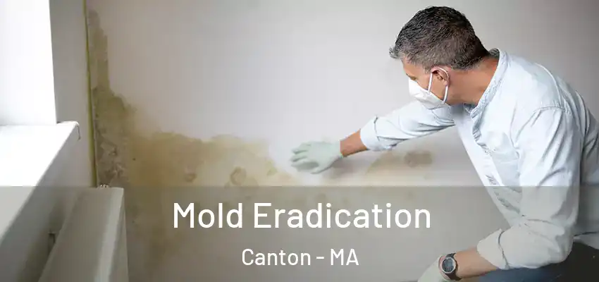  Mold Eradication Canton - MA