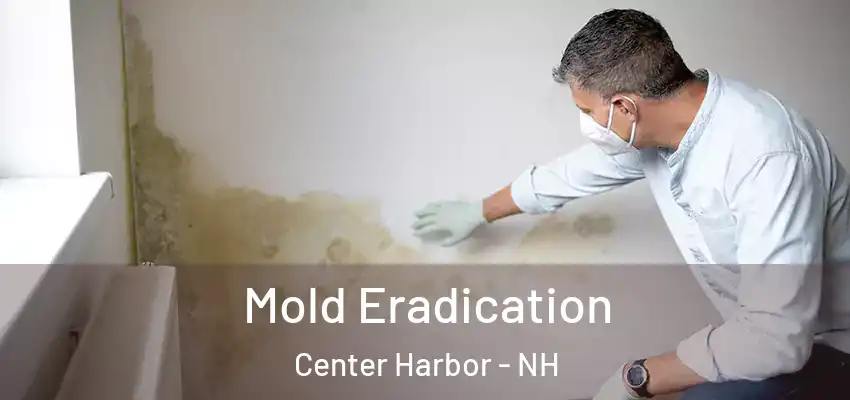 Mold Eradication Center Harbor - NH