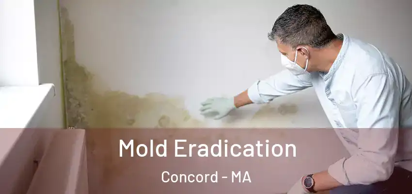 Mold Eradication Concord - MA