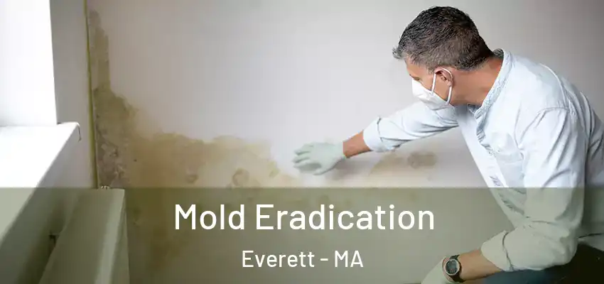 Mold Eradication Everett - MA