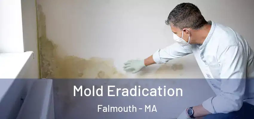 Mold Eradication Falmouth - MA