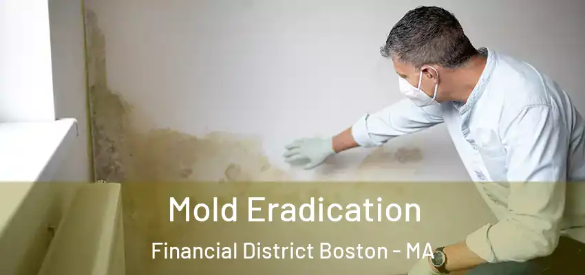 Mold Eradication Financial District Boston - MA