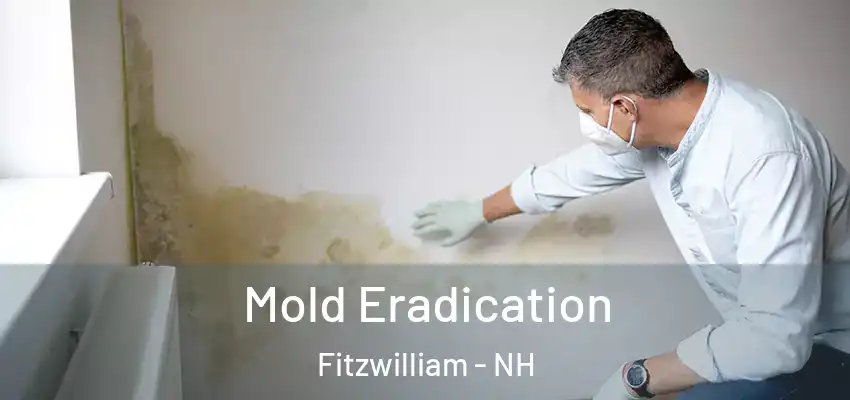  Mold Eradication Fitzwilliam - NH