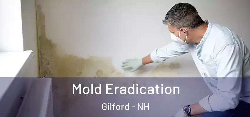 Mold Eradication Gilford - NH