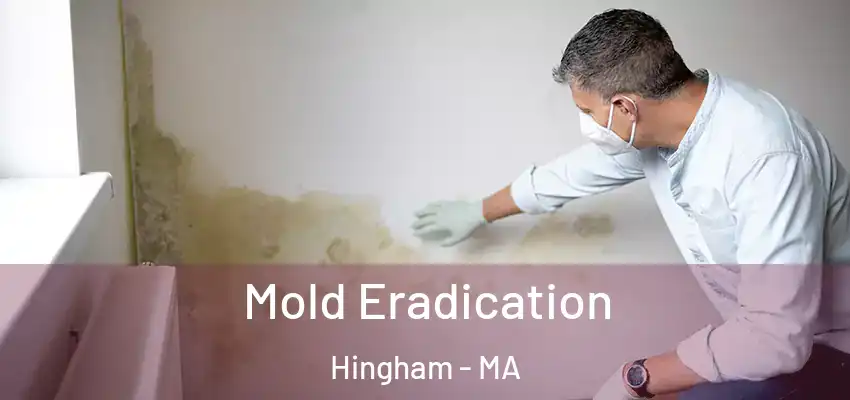 Mold Eradication Hingham - MA