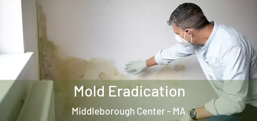Mold Eradication Middleborough Center - MA