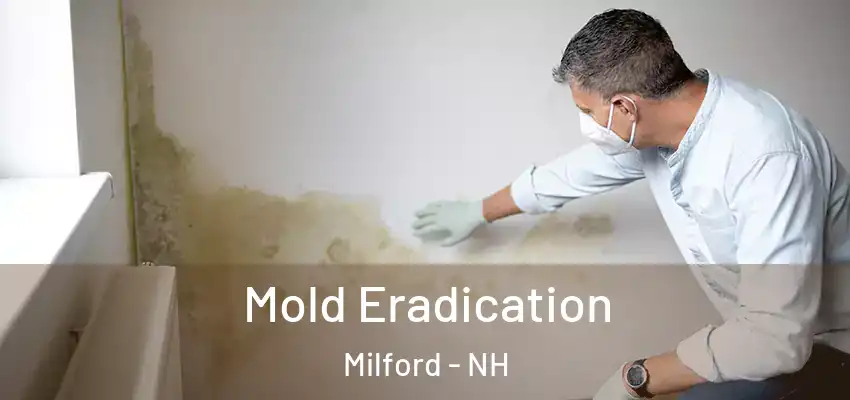 Mold Eradication Milford - NH