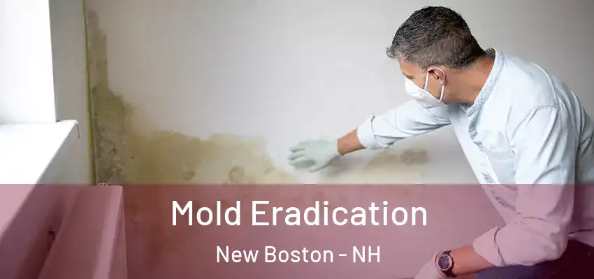 Mold Eradication New Boston - NH