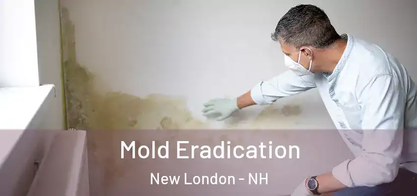  Mold Eradication New London - NH
