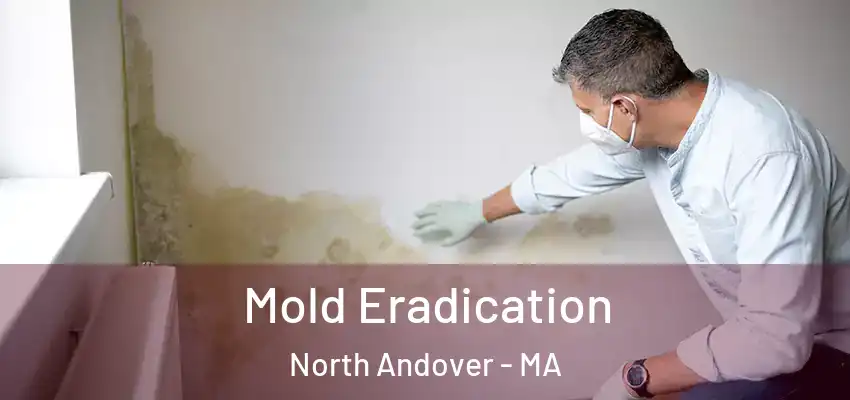  Mold Eradication North Andover - MA