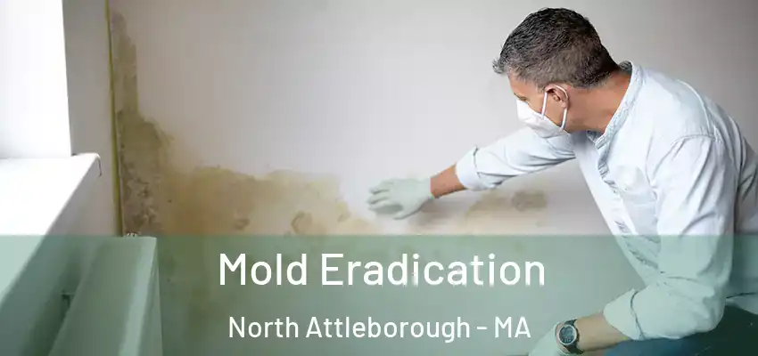 Mold Eradication North Attleborough - MA