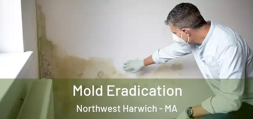  Mold Eradication Northwest Harwich - MA