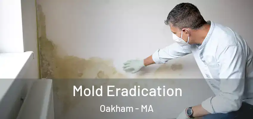  Mold Eradication Oakham - MA