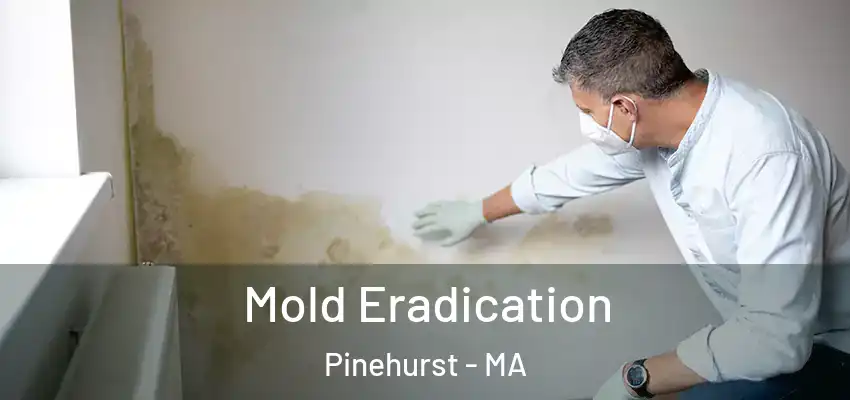 Mold Eradication Pinehurst - MA