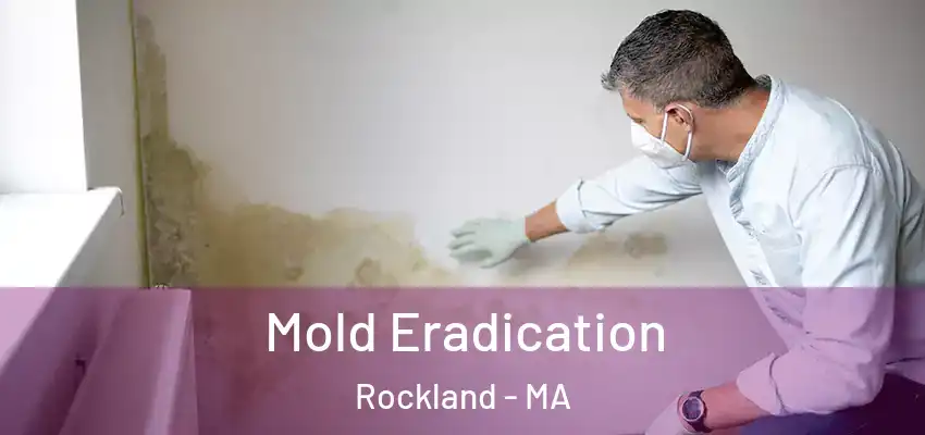 Mold Eradication Rockland - MA