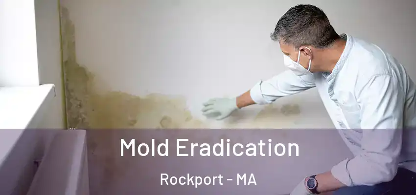 Mold Eradication Rockport - MA