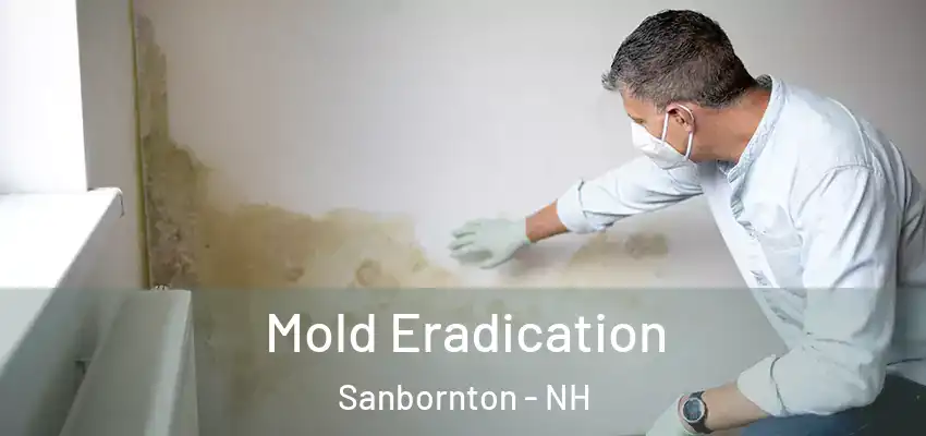 Mold Eradication Sanbornton - NH