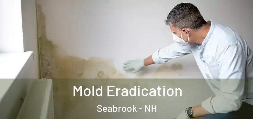 Mold Eradication Seabrook - NH