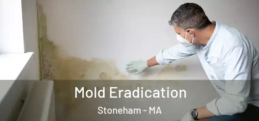  Mold Eradication Stoneham - MA