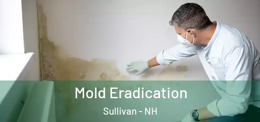  Mold Eradication Sullivan - NH