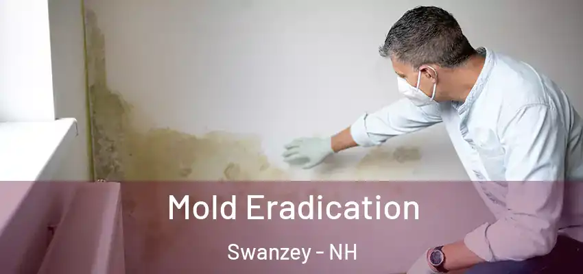 Mold Eradication Swanzey - NH