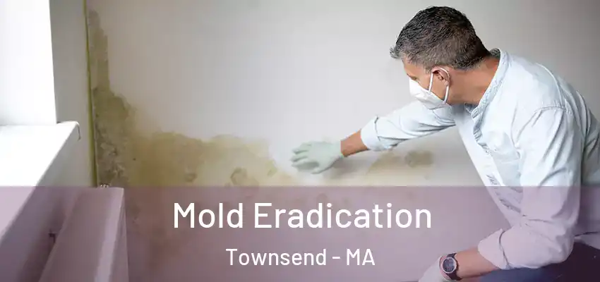  Mold Eradication Townsend - MA