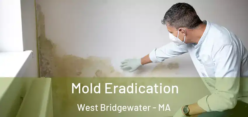  Mold Eradication West Bridgewater - MA