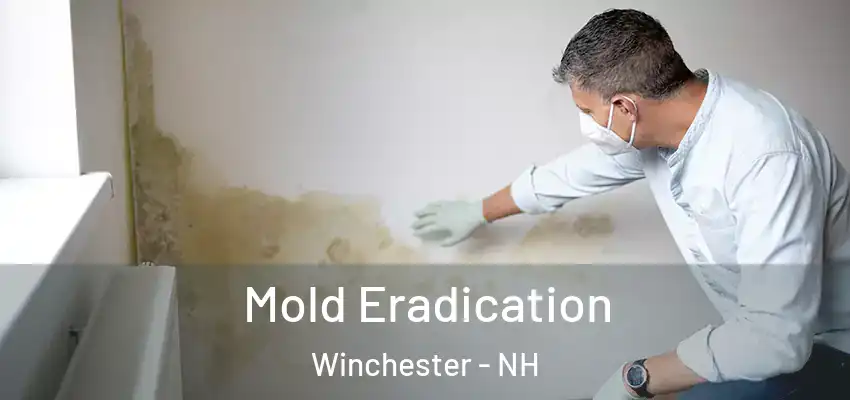  Mold Eradication Winchester - NH