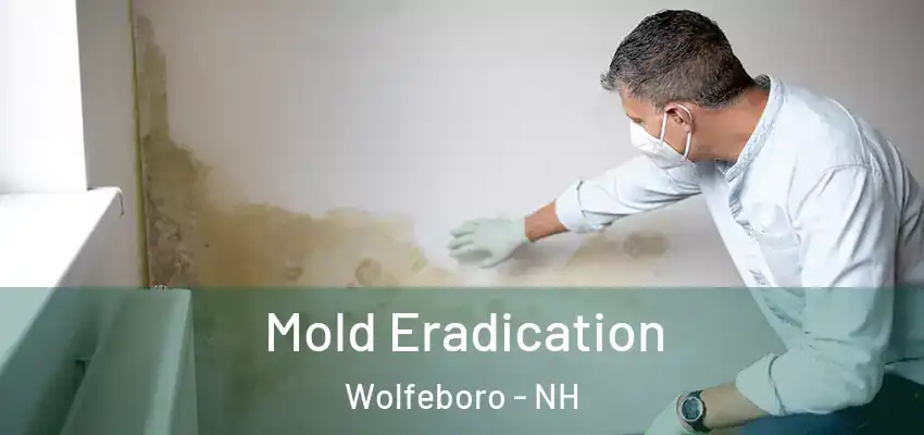  Mold Eradication Wolfeboro - NH