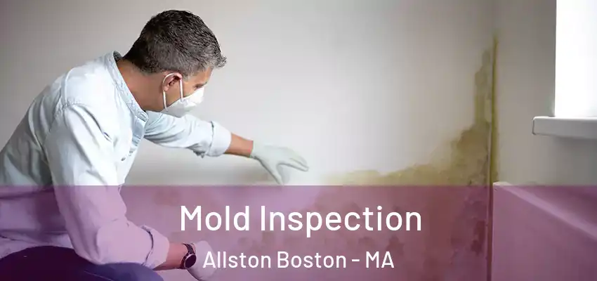  Mold Inspection Allston Boston - MA