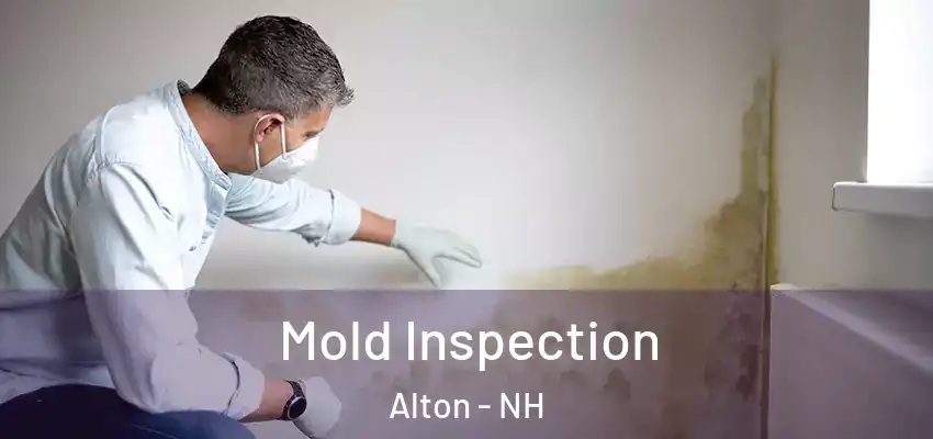 Mold Inspection Alton - NH