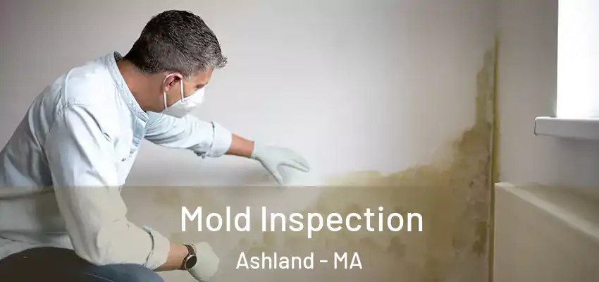 Mold Inspection Ashland - MA