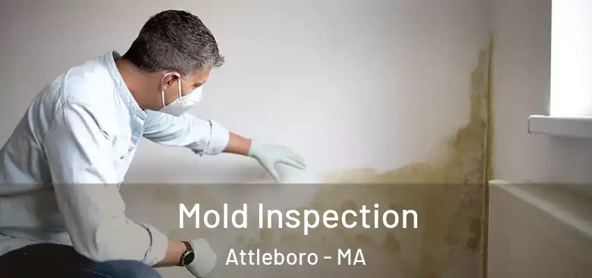 Mold Inspection Attleboro - MA