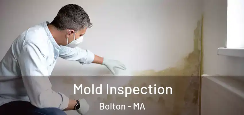 Mold Inspection Bolton - MA