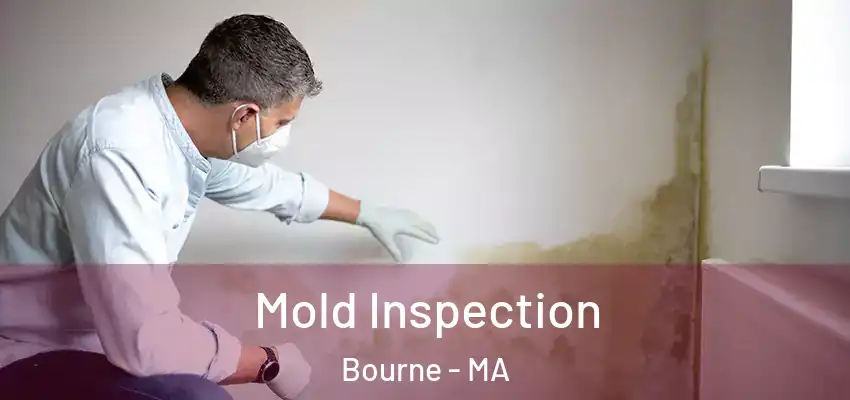  Mold Inspection Bourne - MA