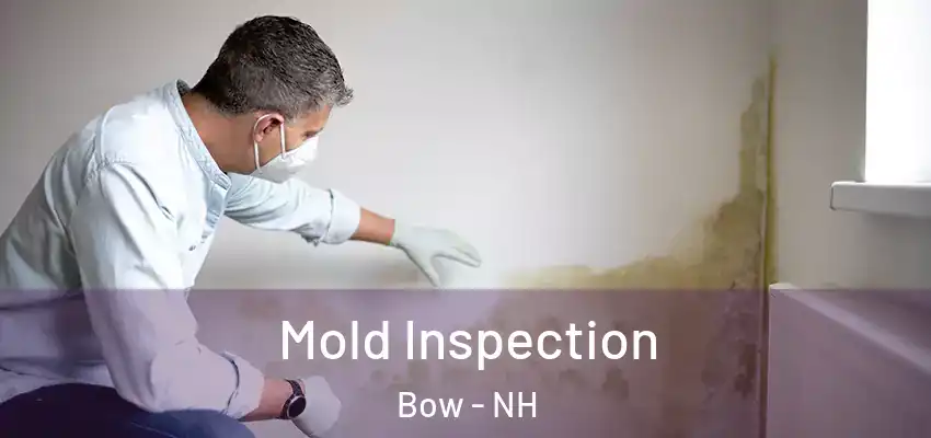 Mold Inspection Bow - NH