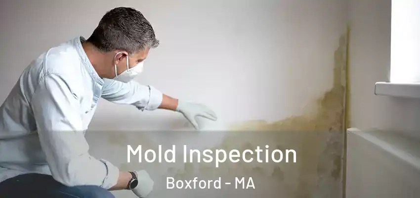  Mold Inspection Boxford - MA